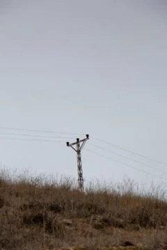 Electric poles Stock Photos