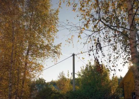 Electric Post And Trees 写真素材