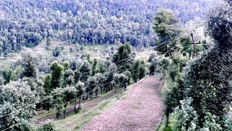 Electric Power Lines Passing Through Green Trees Видео 339533008
