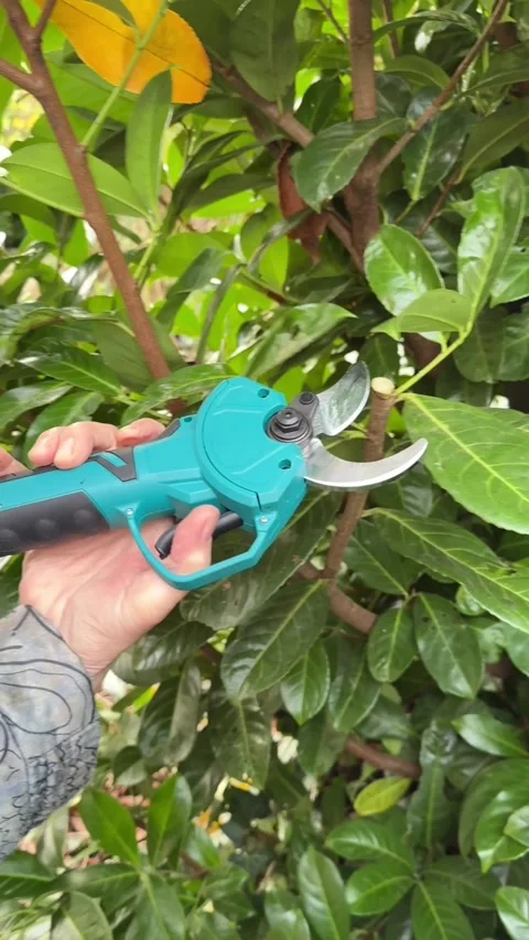Electric Pruner in action Stock Footage 321245954