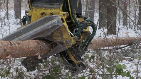 An electric saw for logging is being prepared for work Stock Footage 300765490