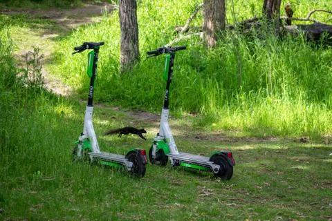 Electric scooter with a squirrel Foto stock