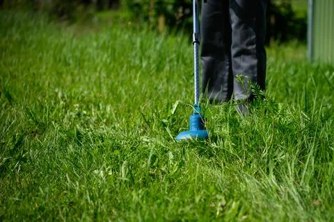 Electric string trimmer cutting high green grass in a backyard, seasonal chores Photos