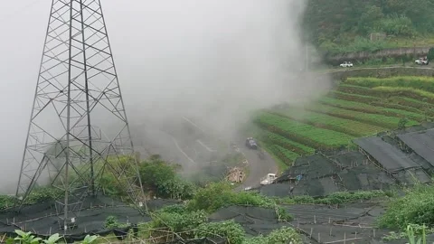 Electric tower in the middle of the forest with a thin mist passing through it Stock Footage 289387138