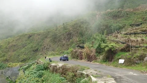 Electric tower in the middle of the forest with a thin mist passing through it Stock Footage 289387178