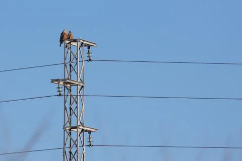Electric tower Stock-Fotos