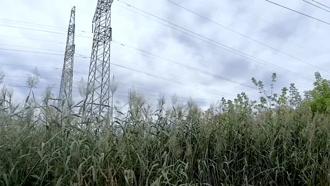 Electric towers in the field Stock Footage