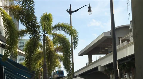 Electric Train passing by station with Palm trees in fore ground  in Miami Stock Footage 36640609