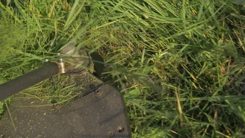 Electric trimmer blade rotary cuts grass and branches on the site. Stock Footage