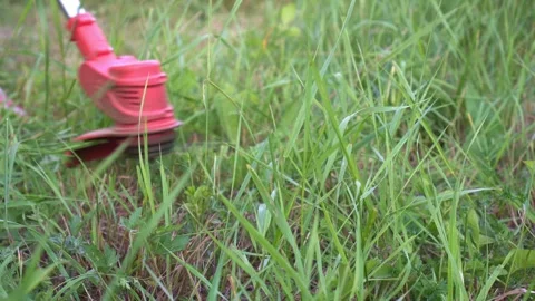 An electric trimmer mows the grass. Stock Footage 329475737