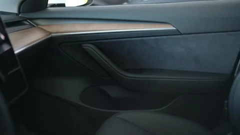 Electric Vehicle Interior Door Panel and Door Handle Close Up Vidéo 343311946