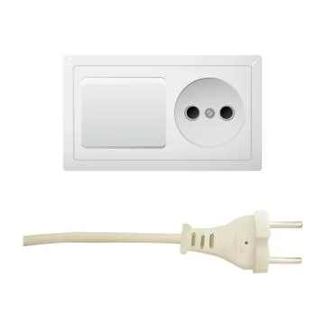 Electric white socket with plug and switch. イラスト素材