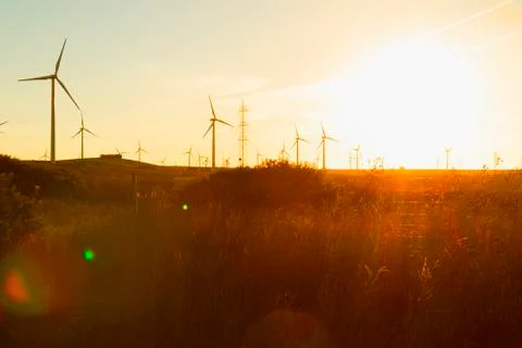 Electric windmills at sunset. Stock Photos