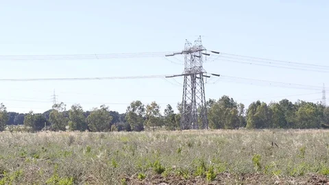 Electric wires 스톡 동영상 95749659