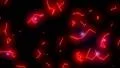 Electrical arcs neon lightning retro future vr voltage glow vector tron loop 4k 4k or 4k+ Resolution