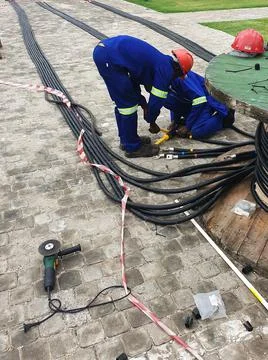 Electrical Cable 写真素材