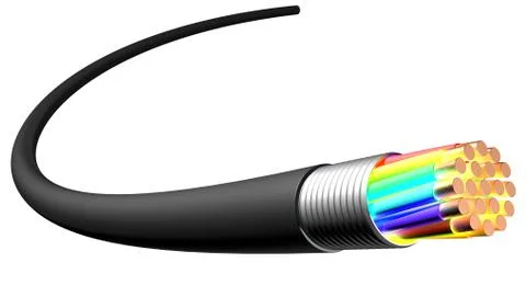 Electrical cable on white background. Close-up 库存插图