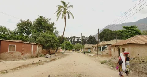 Electrical cables and Palm tree on a dust street of Morogoro town in Tanzani Stock Footage 159348505