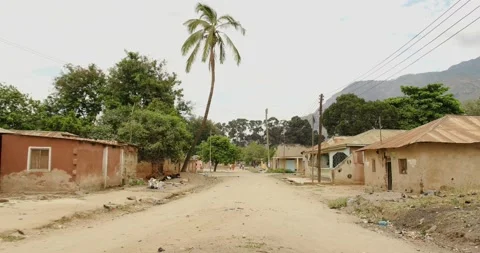 Electrical cables and Palm tree on a dusty street of Morogoro town in Tanzania Stock Footage 159354925