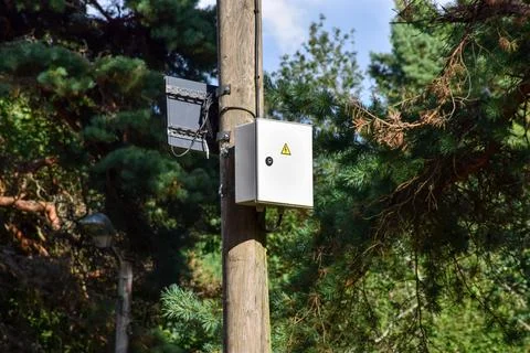 Electrical Control Box Mounted on Wooden Pole in Forest Stock Photos