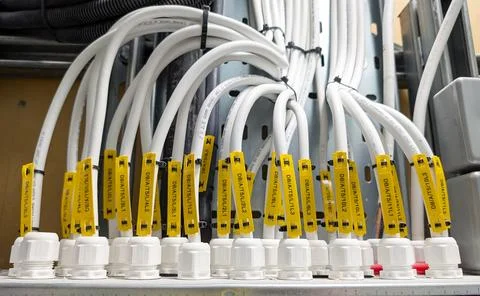 Electrical Control Cables Terminated Through Cable Glands in Industrial Panel Stock Photos