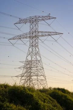 Electrical desert antenna 스톡 사진