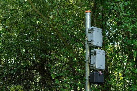 Electrical distribution boxes are mounted on a mast in a forest area. 스톡 사진