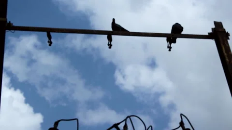 Electrical Distribution Lines and Transformer Components Against Cloudy Blue Sky 库存影片 336616177