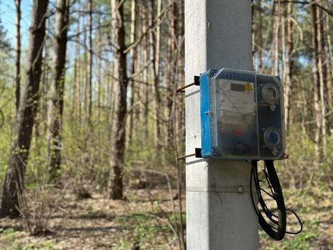 Electrical distribution panel in the middle of the forest. Electric meter o.. Stock Photos