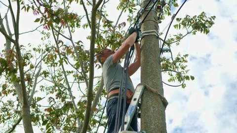 Electrical engineer with high voltage electricity pylon on the background of the Stock Footage 156615345