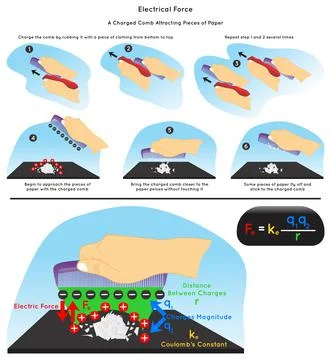 Electrical Force Infographic Diagram for physics science education vector Stock Illustration