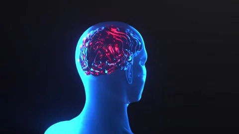 Electrical Impulses Shinning inside the brain. Synapse, render 3d Stock Footage 301655303