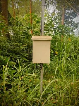 Electrical Junction Box Mounted on Post in Nature Stock Photos