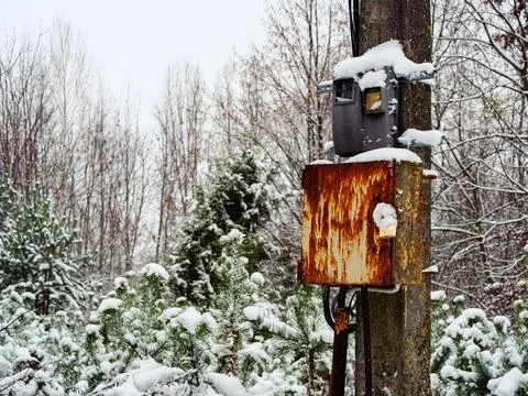 Electrical junction box in the park on a pole closed with a padlock Stock Photos