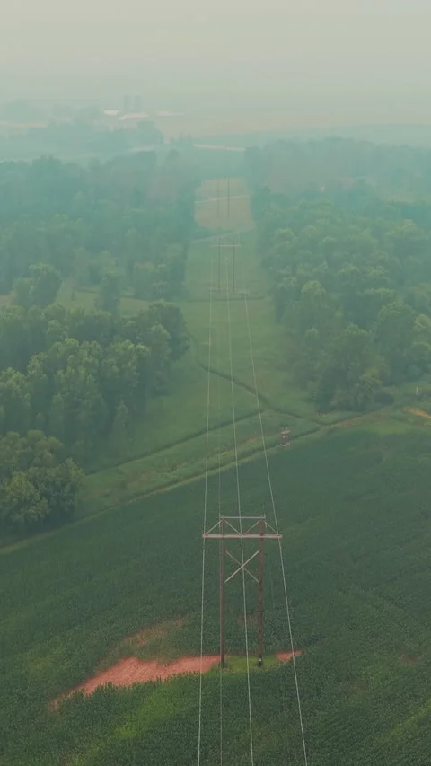 Electrical Lines Tower Through Dense Trees During Canadian Wildfire Smoke Stock Footage 342591787