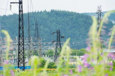 Electrical network near the forest Stock Photos