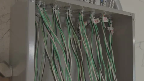 Electrical Panel with Multiple Flexible Metal Conduits and Labeled Wiring 库存影片 337440123