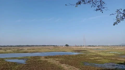  Electrical pole constructing for supplying high power electricity  Stock Footage 168705903