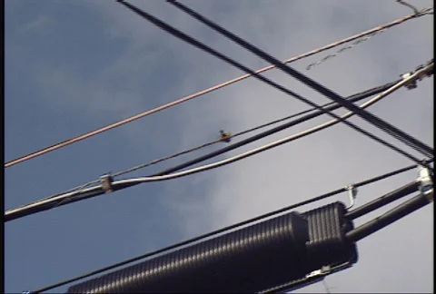 Electrical Power Lines - Pan Stock Footage 95539