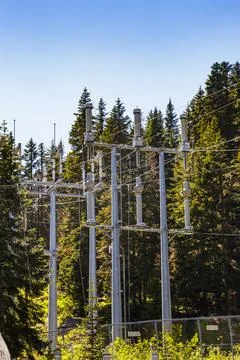 Electrical power lines on pylons running through trees. Stock Photos