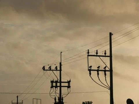 Electrical pylon Stock Photos