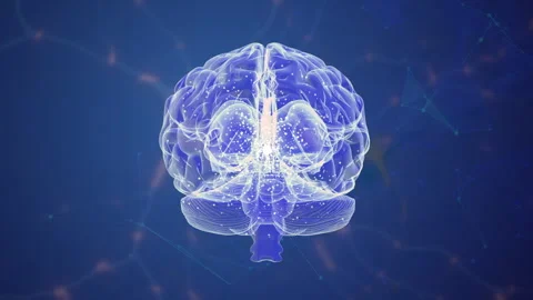 Electrical Signals in the Brains Neuron Network Stock Footage 300949690