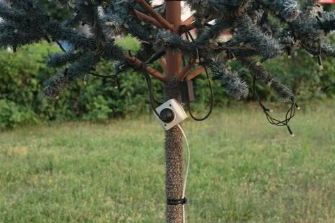 Electrical socket and lights mounted on artificial pine tree trunk outdoors.. Stock Photos