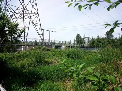 An electrical substation in Bothell, Washington Stock Photos