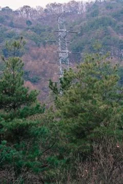 Electrical tower on side of mountain. Stock Photos