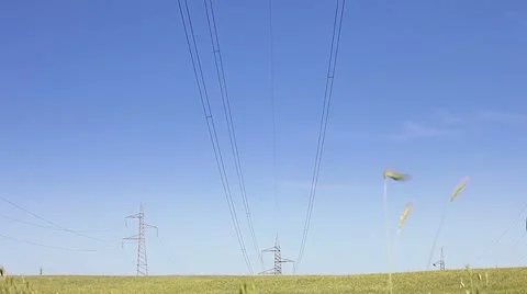 Electrical towers on a filed of wheat Stock Footage 11624778