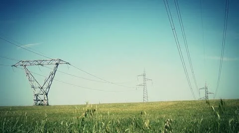 Electrical towers on a filed of wheat Stock Footage 11625150