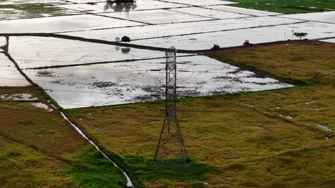 Electrical transmission tower in a flooded rural agricultural field at dusk Stock Footage 344817391