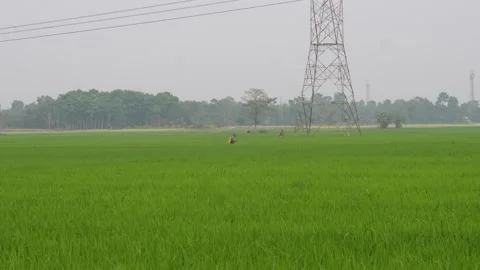 Electrical Transmission Tower Stock Footage 332592461