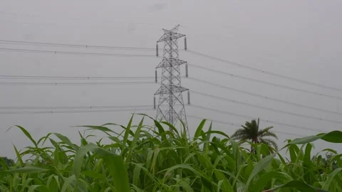Electrical Transmission Tower Stock Footage 342269684